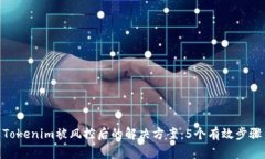 Tokenim被风控后的解决方案：5个有效步