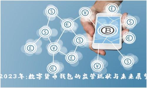 2023年：数字货币钱包的监管现状与未来展望