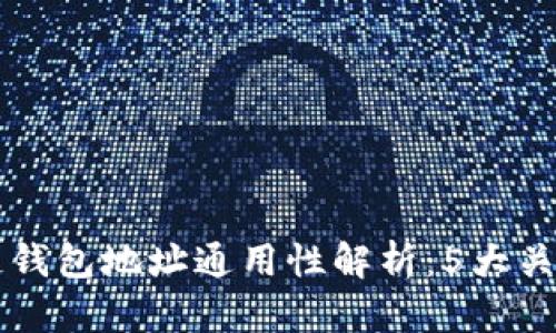 区块链钱包地址通用性解析：5大关键要素