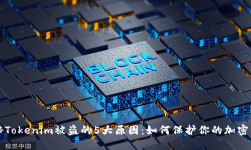 揭秘Tokenim被盗的5大原因:如何保护你的加密资产