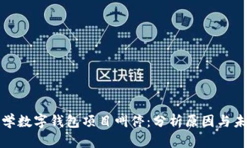 清华大学数字钱包项目叫停:分析原因与未来影响