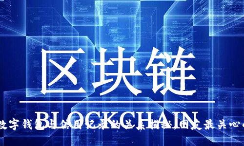 2023年:数字钱包与信用记录的关系揭秘,网友最关心的5个问题
